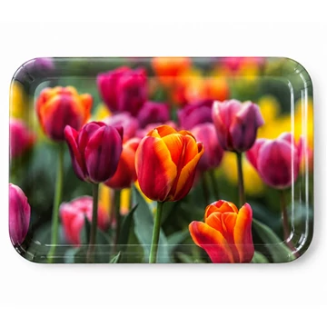 Műanyag tálca tulipános 33x24,5x1,8cm     M40376