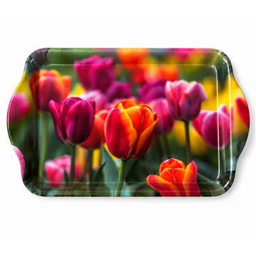 Műanyag uzsonnás tálca tulipános 21x14,3x2cm     M40377