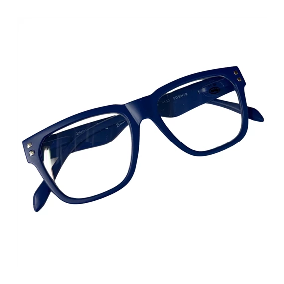 Olvasó szemüveg tokkal  255000310