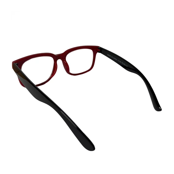 Olvasó szemüveg tokkal  255000100