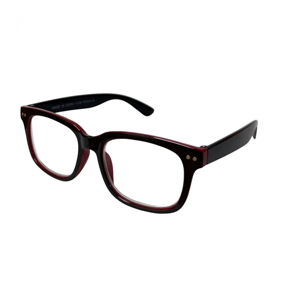 Olvasó szemüveg tokkal  255000100