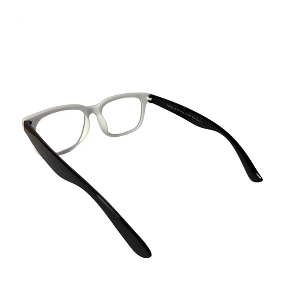 Olvasó szemüveg tokkal  255000100
